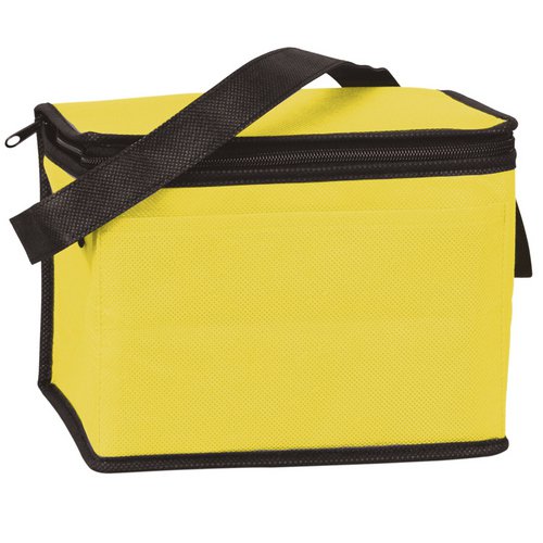 non woven cooler bag